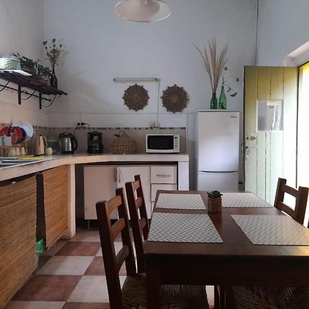 Хостел Casa Calma Колонія-дель-Сакраменто Екстер'єр фото